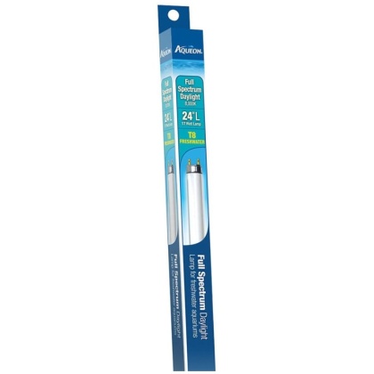 Aqueon T8 Daylight Fluorescent Lamp - 24\