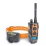 2700T&B Training & Beeper Collar