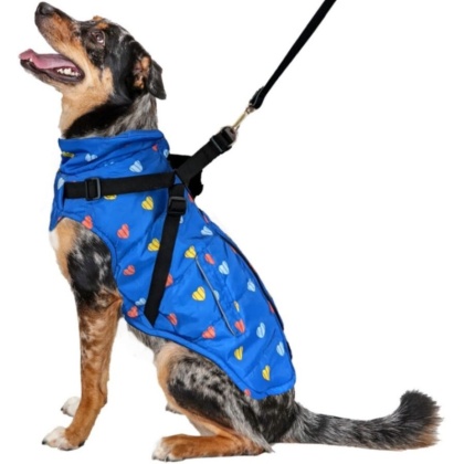 Fashion Pet Puffy Heart Harness Coat Blue - Small