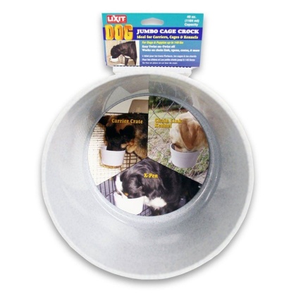 Lixit Quick Lock Crock Hanging Feeder - Jumbo (40 oz)