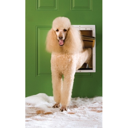 PetSafe Extreme Weather Pet Door - Large