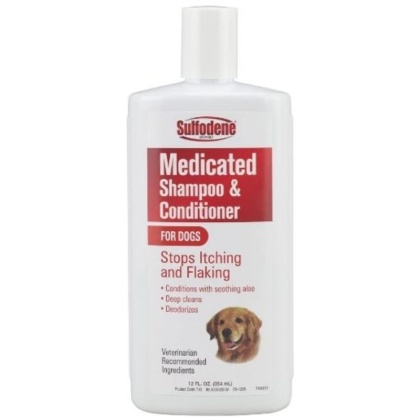 Sulfodene Medicated Shampoo - 12 oz